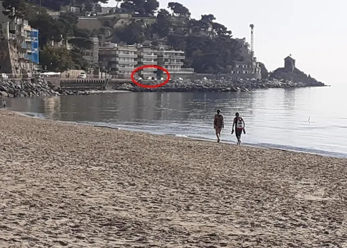 Апартаменты Cadorna Fronte Mare Алассио